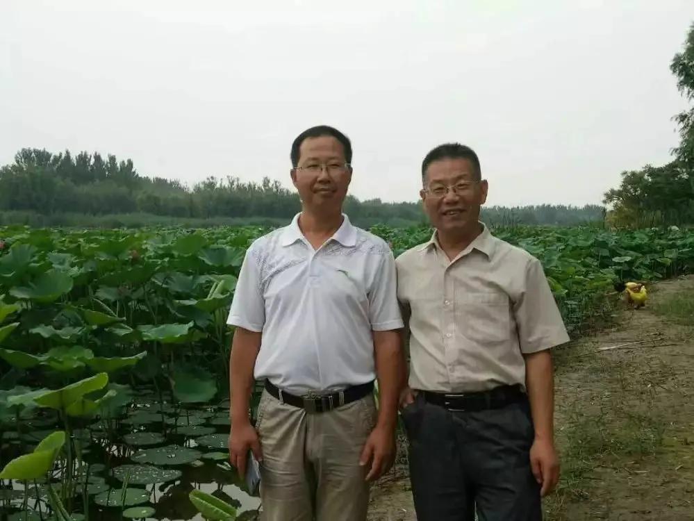 德州减河湿地公园一日游攻略,德州减河湿地公园游览记