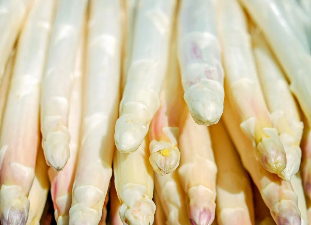 爱马仕单品智商税,号称蔬菜界的爱马仕