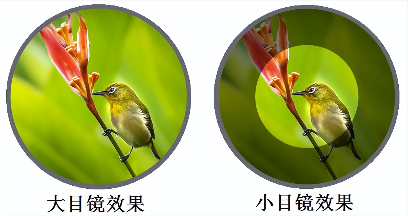 望远镜怎么选购技巧,如何选购天文望远镜