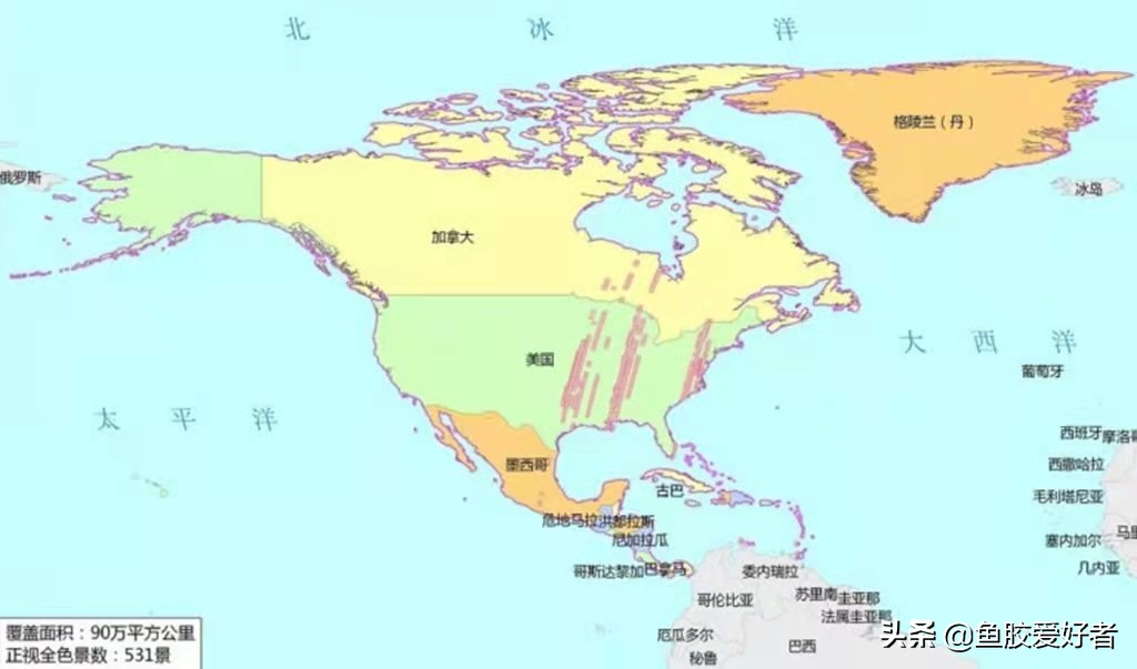 正宗即食鱼胶哪里有,鱼胶是哪个国家产的最好