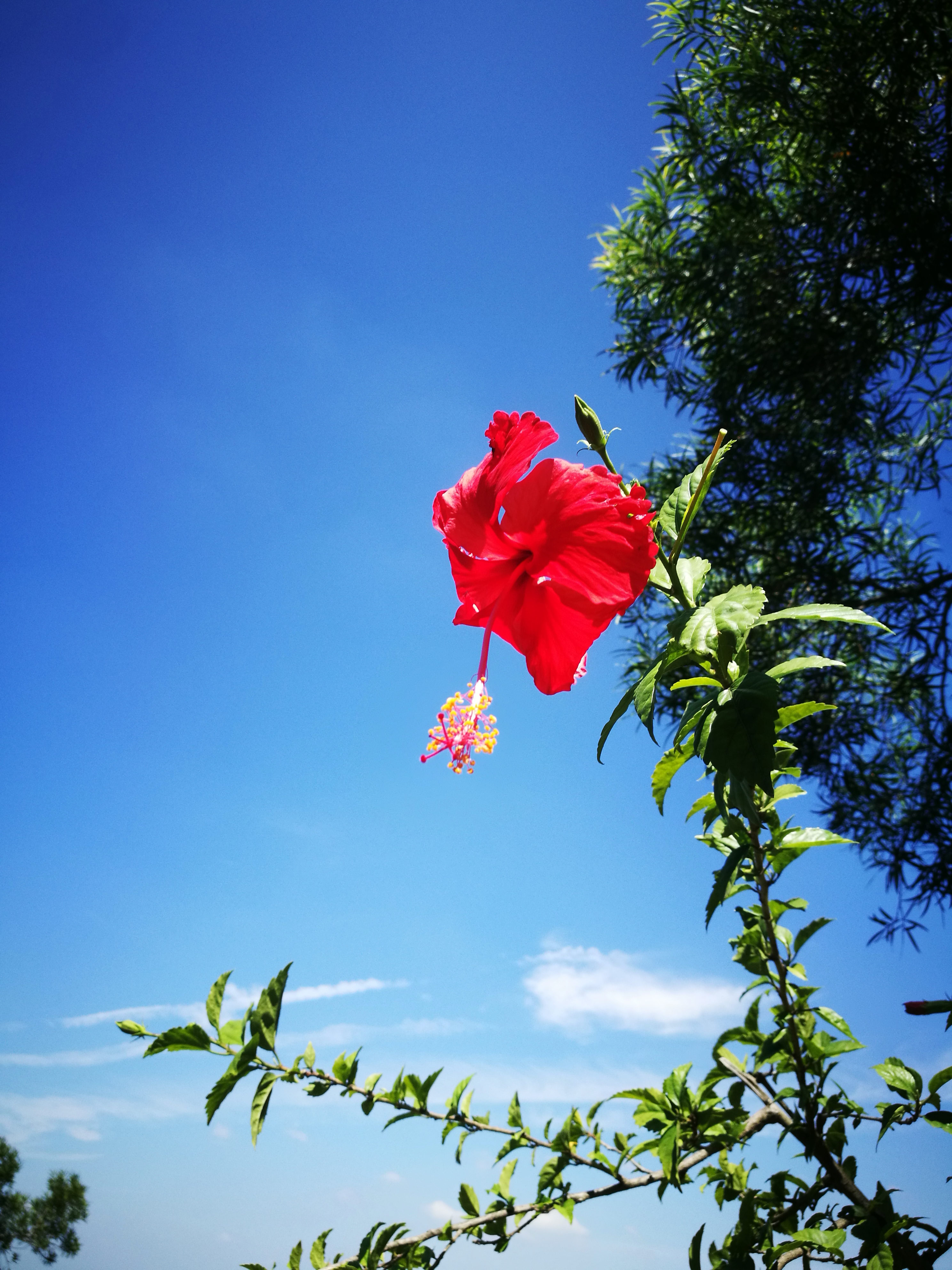 孔明的散文,作家孔明的写人散文