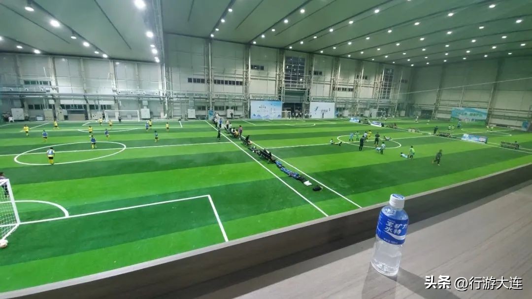 大连体育中心足球场专业足球场,世界杯足球场比赛场地
