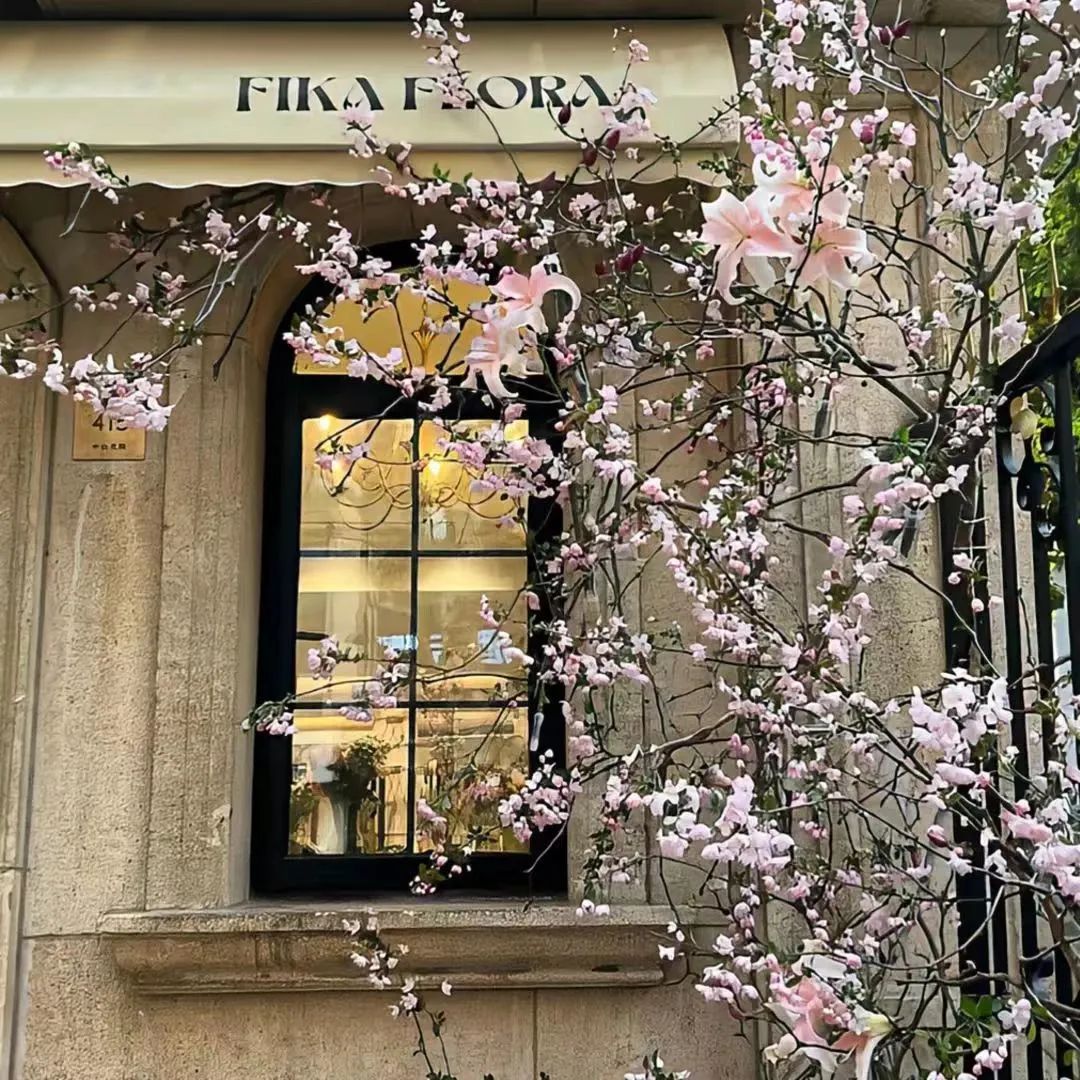 ins冷淡风微信背景图自由感,氛围感ins背景图