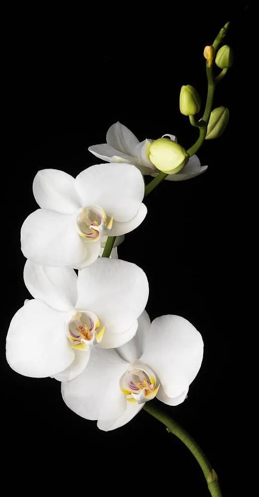 黑暗系的壁纸文字,黑暗色系的壁纸