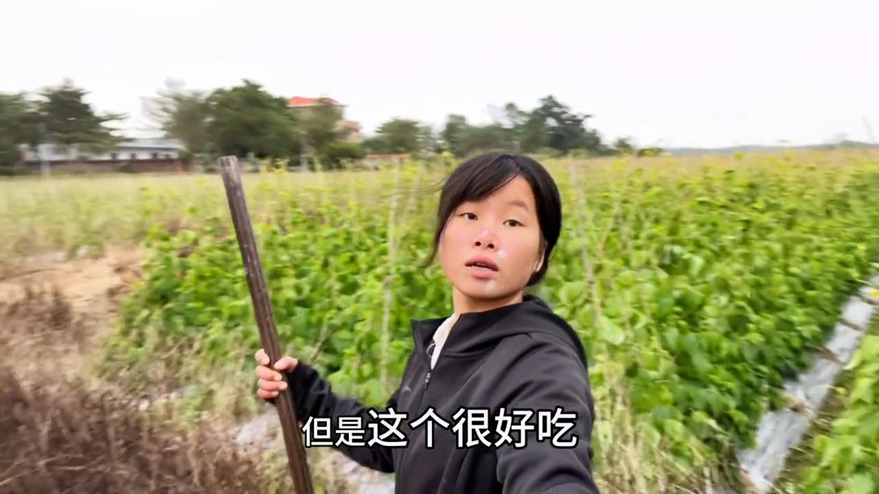 20岁了，没有一个男的追过我。到底哪个步骤出现了问题？#素颜