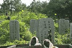 陆毅周杰对比,少年包青天陆毅和周杰演技对比