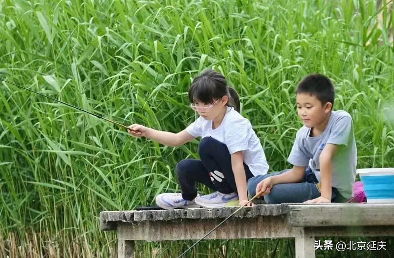 延庆冬奥小镇游玩,北京冬奥延庆观光旅游