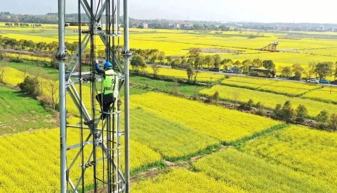 招聘类型校招实习社招,校招社招分配招聘名额