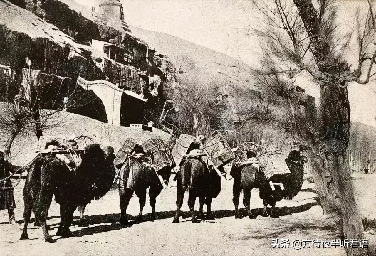 五组镜头下，敦煌莫高窟的百年沧桑