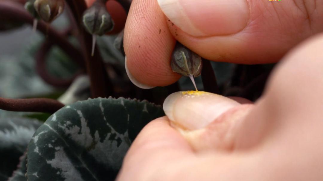 娉曞浗鑾幈灏斾粰瀹㈡潵鍝佺,鑾幈灏斾粰瀹㈡潵