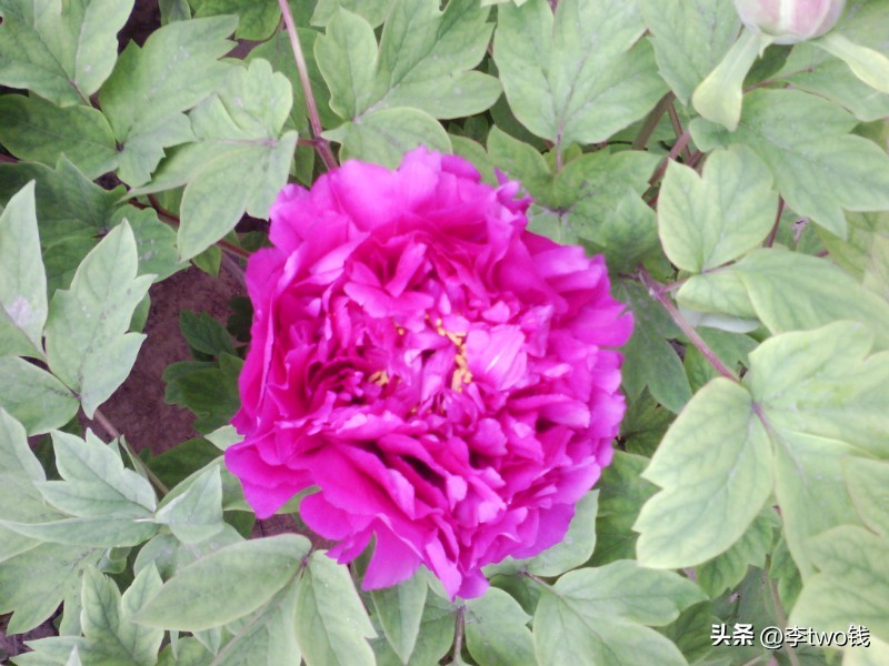 2003年最流行的歌,盘点2003年火遍全网的歌