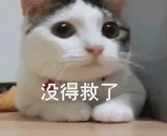 猫咪果蔬,猫咪果蔬脆