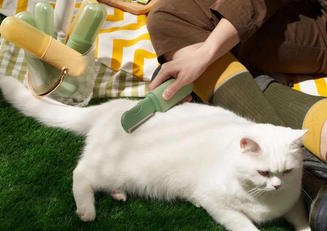 2022年iF设计奖：宠物用品类