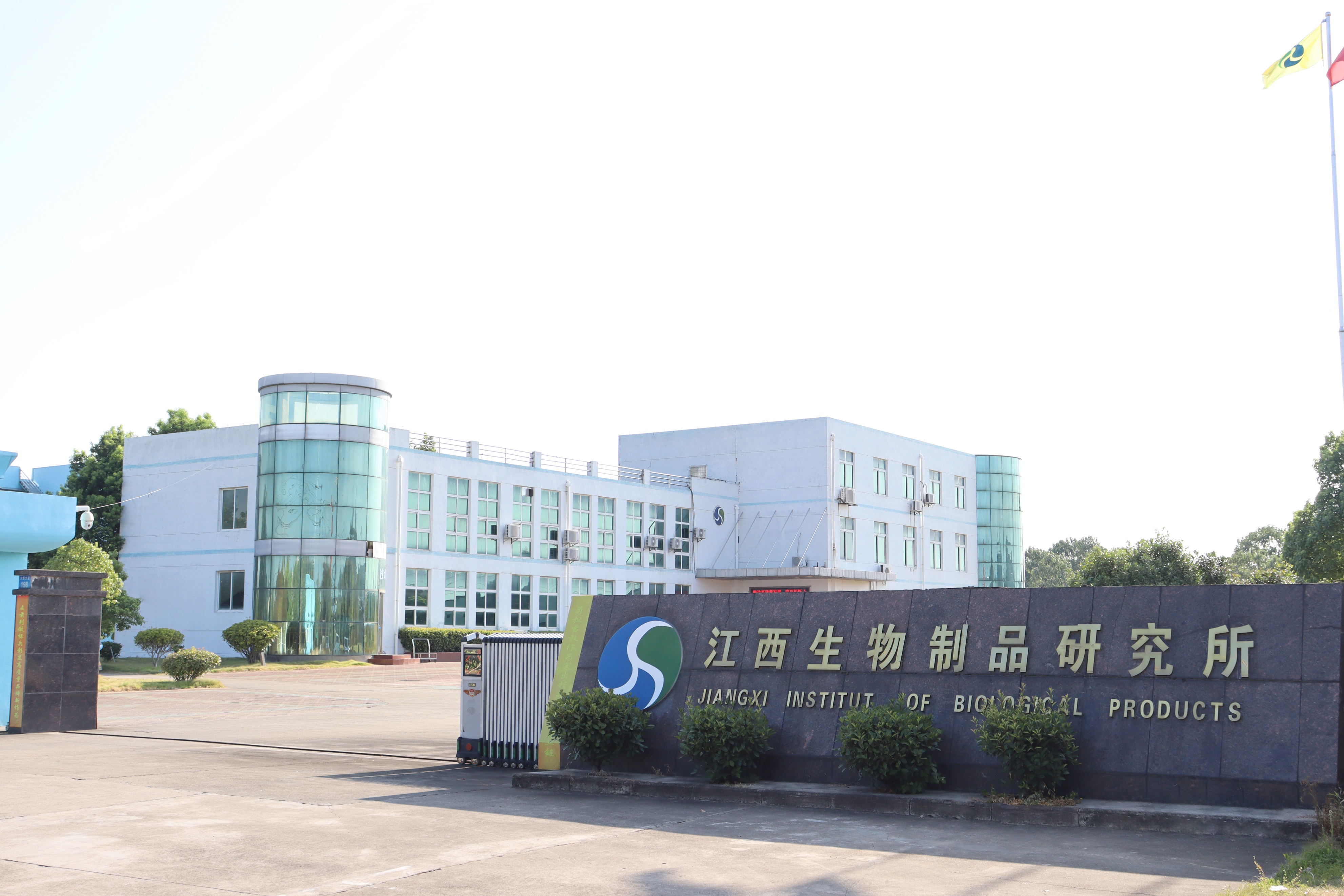 挑战新冠病毒,挑战病毒感冒