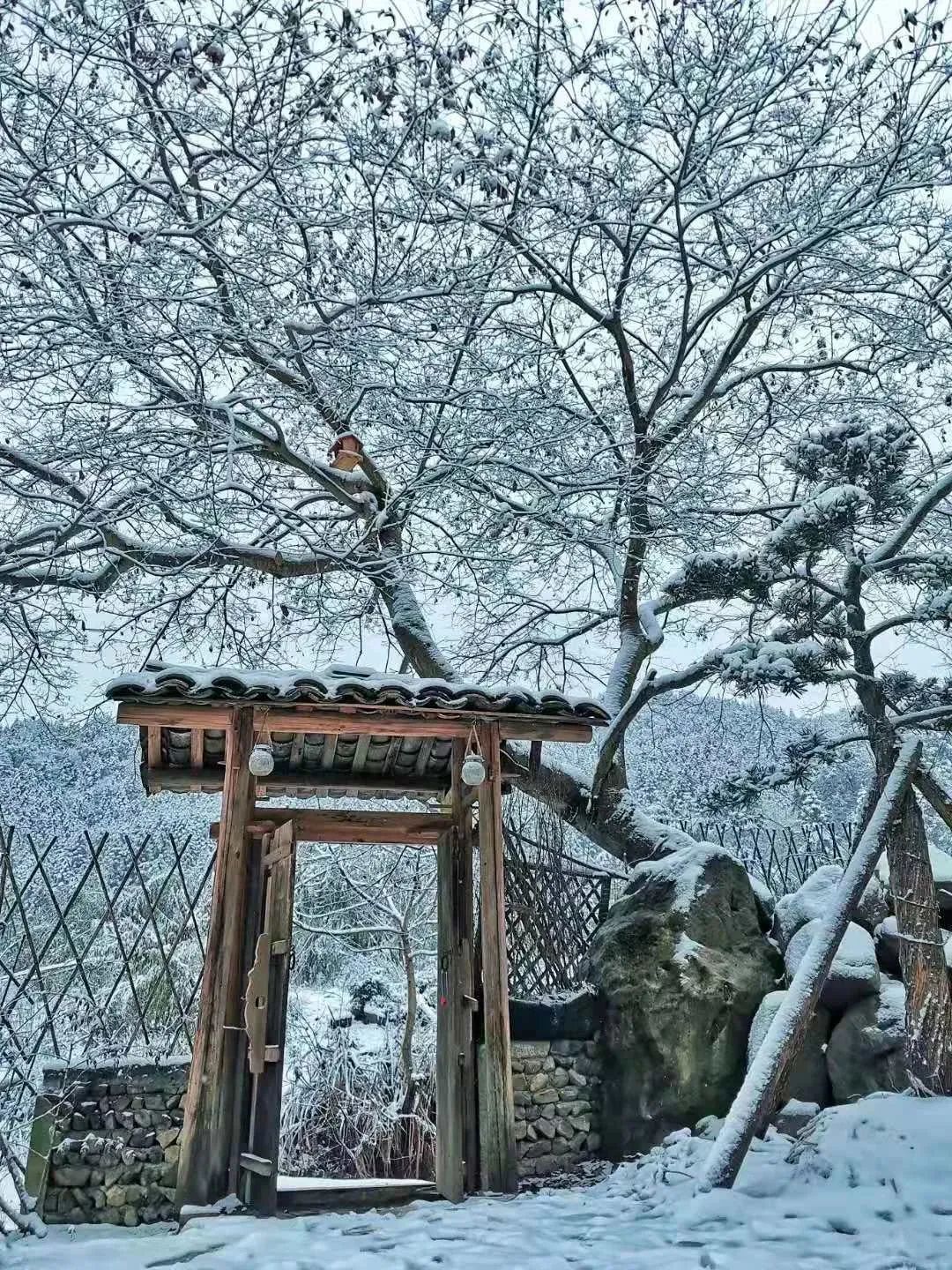 24节气大雪高清动图大图,大雪节气后就会下雪了吗