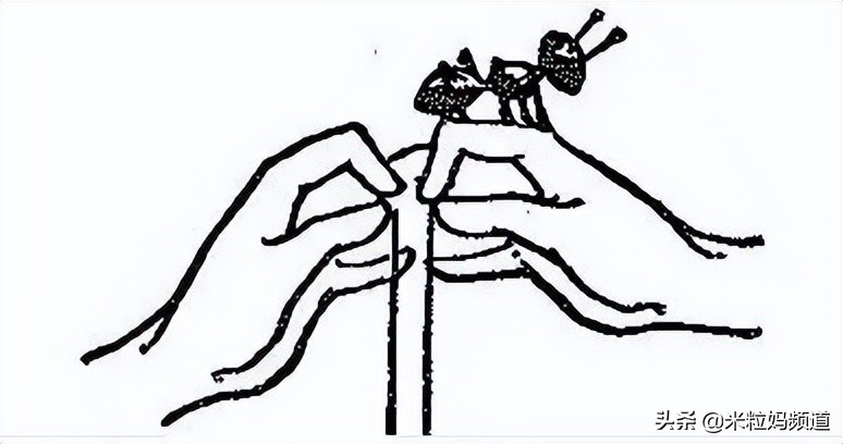 适合小学中高年级读的书推荐,适合2年级读的课外阅读书书单