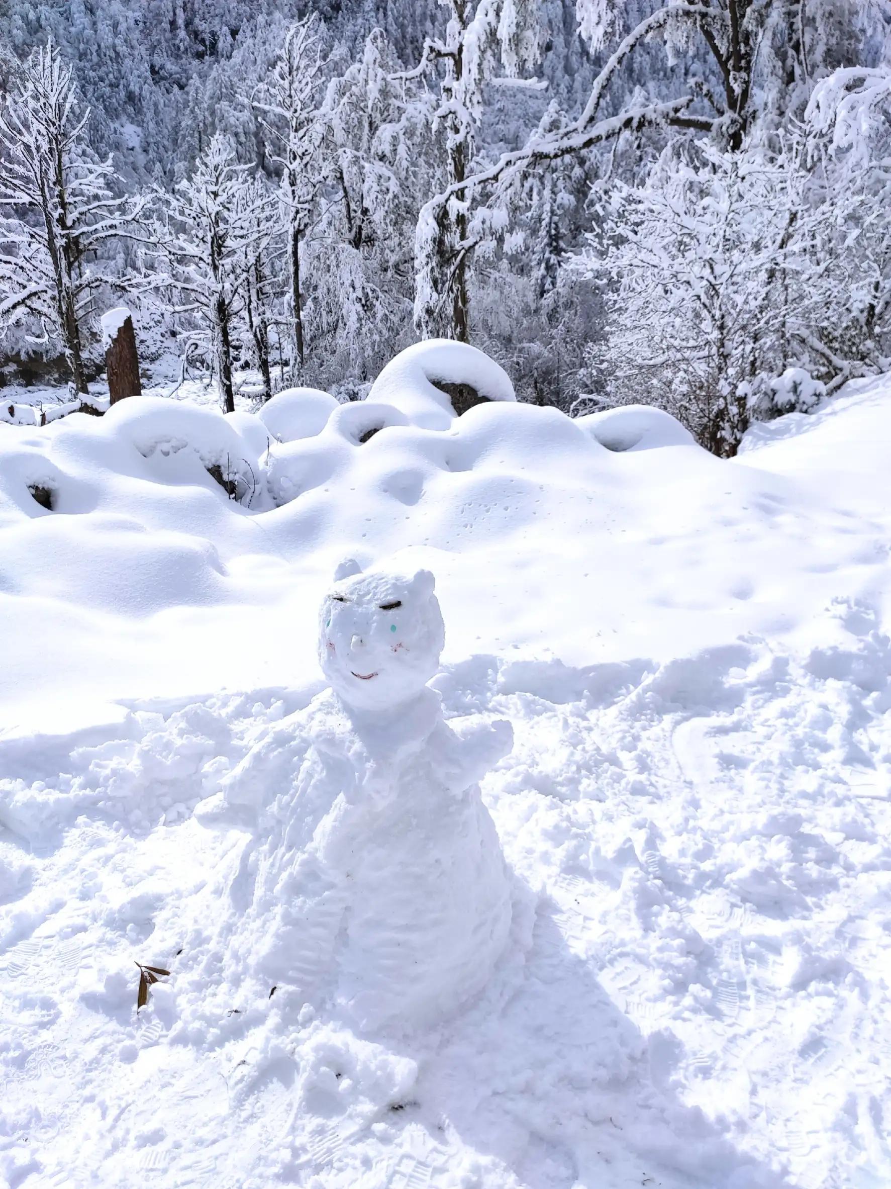 川西雪景旅游地,四川燕子沟旅游攻略
