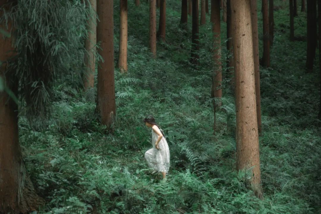 褰窞鐧介箍灏忛晣闇嶆牸娌冭尐,褰窞闇嶆牸娌冭尐