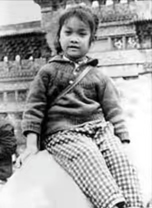 那英高峰有孩子吗,那英和高峰有孩子了吗