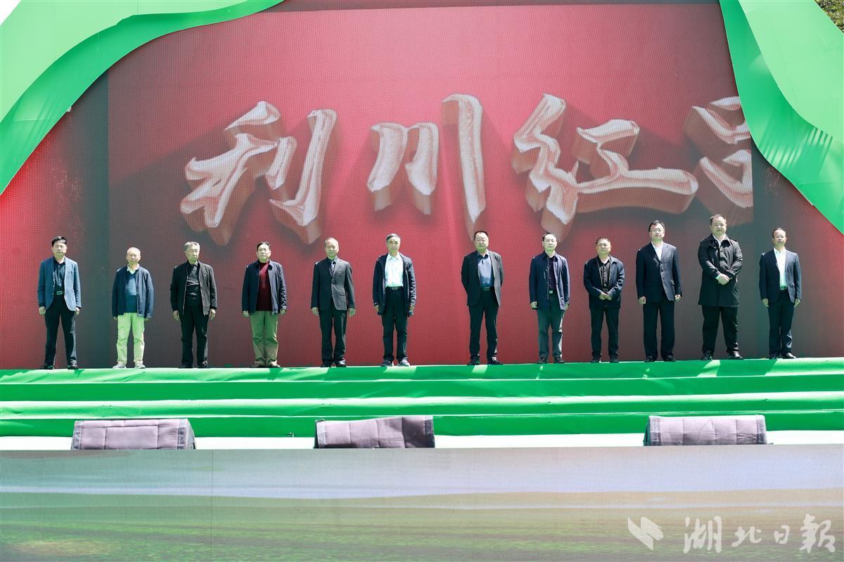 湖北利川寻亲节目,茶乡寻亲会利川