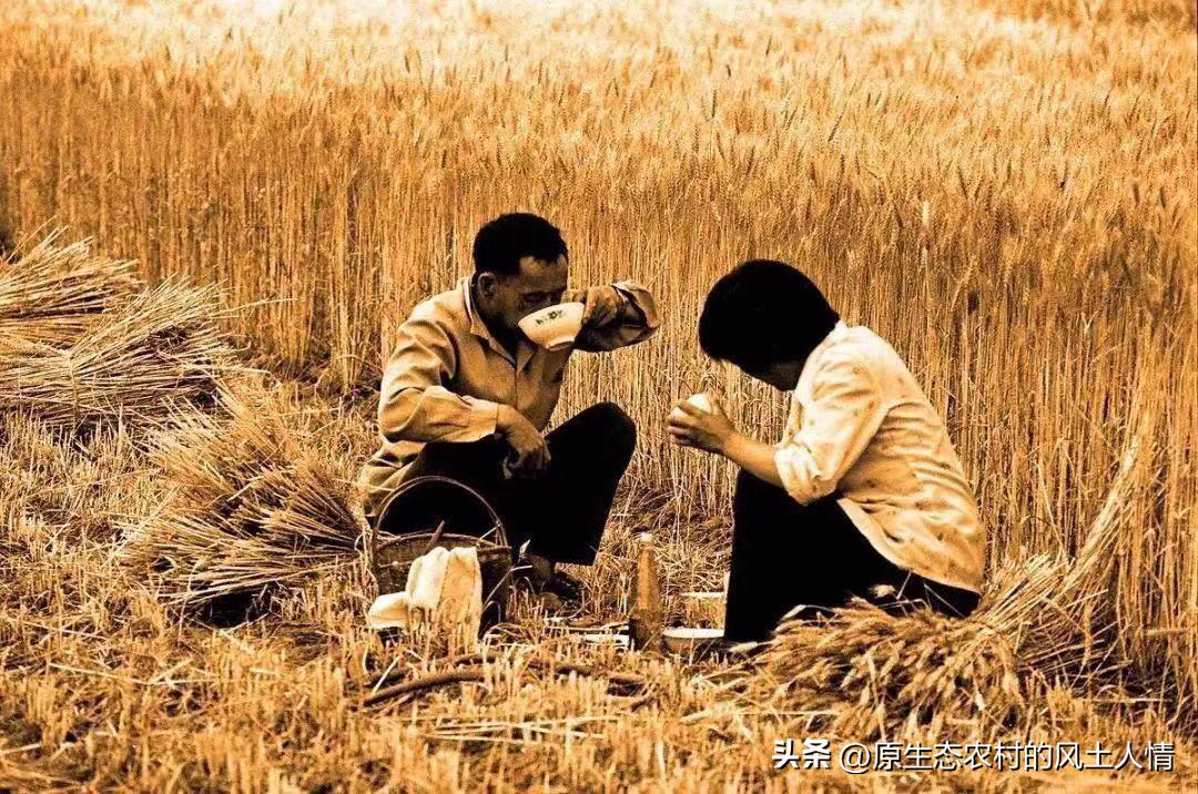 “精豆豆”，“憨豆豆”，精人趁风助，憨厚最靠谱，性格决定人生