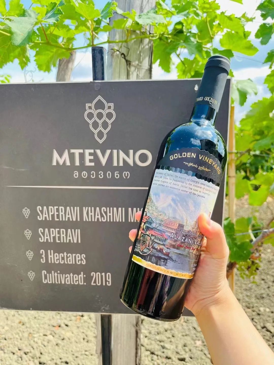 27岁马璐在埃及：5年没工作，边赚路费边旅游，潇洒走过三大洲