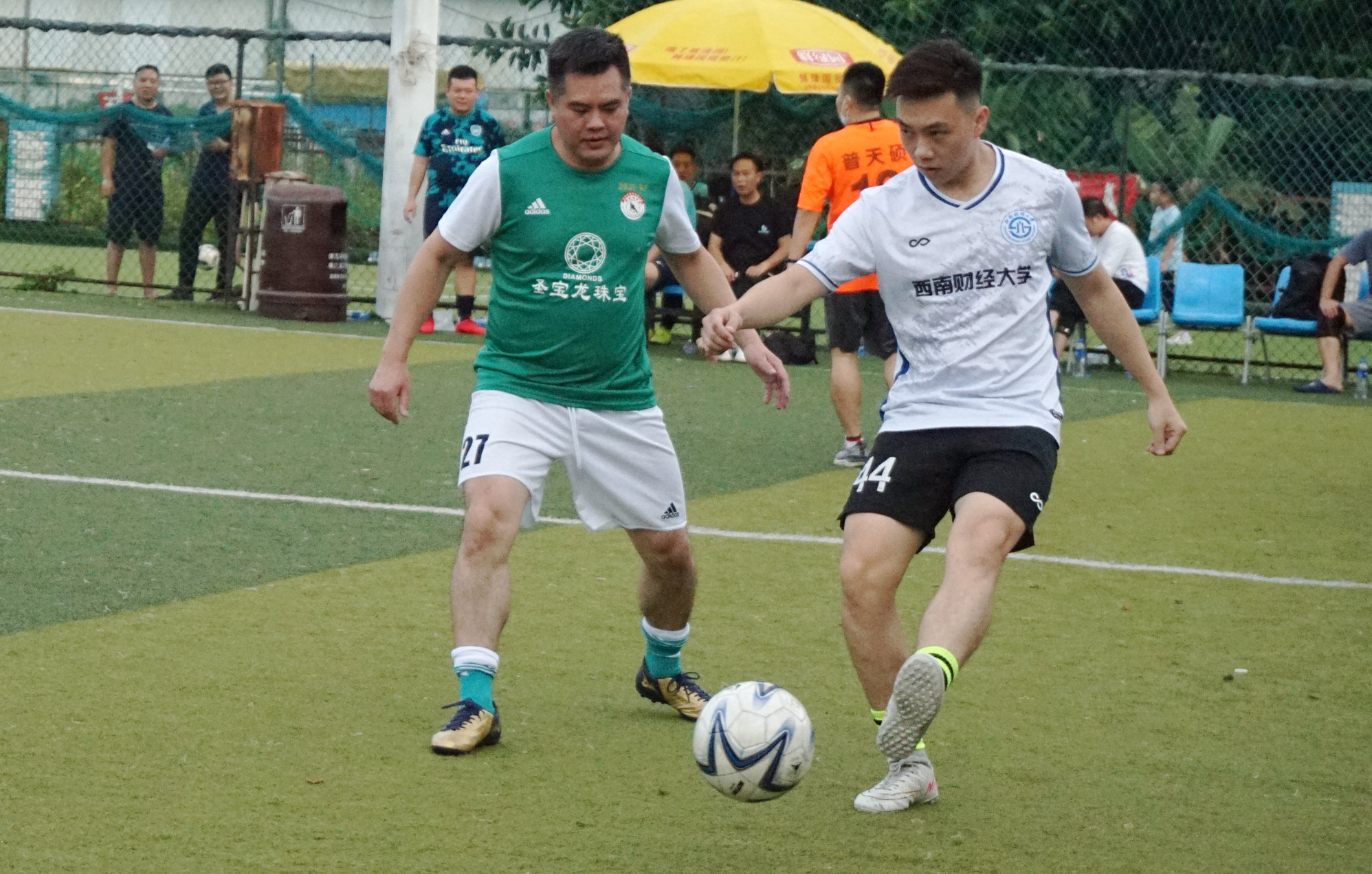 西南财大vs金强,苍狼vs老虎