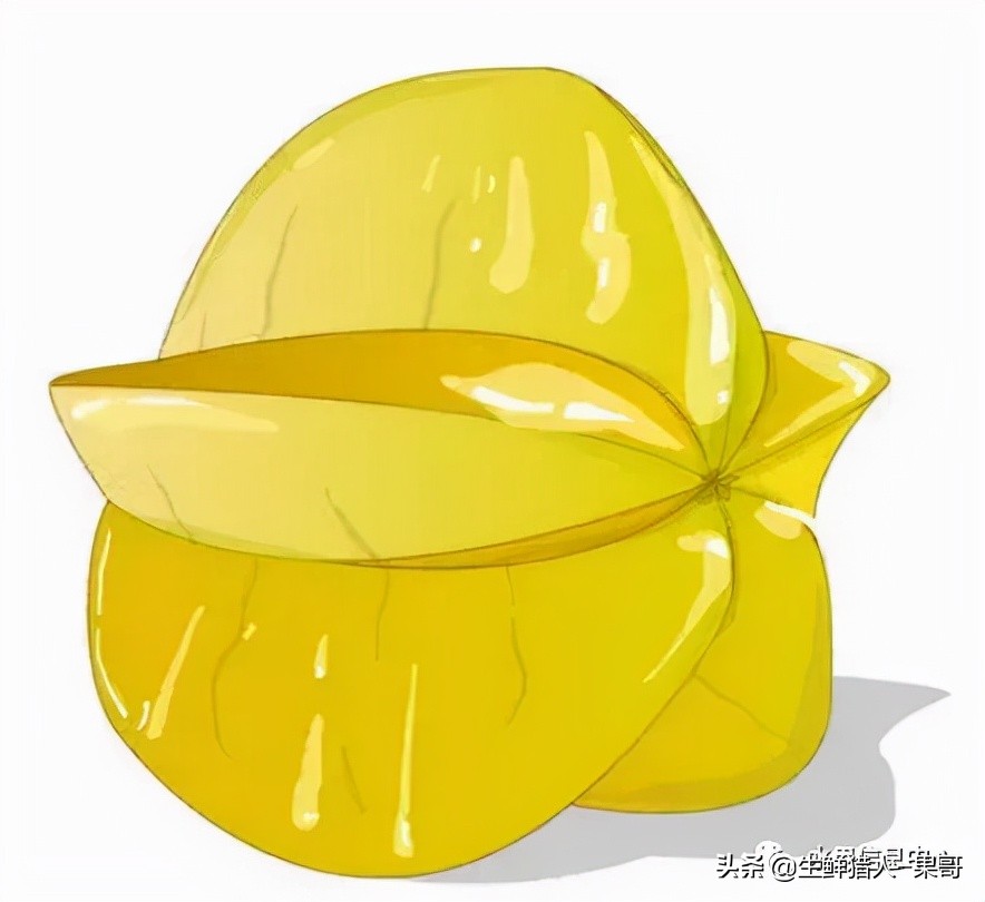 在水果中浆果是分哪几种,水果分类浆果