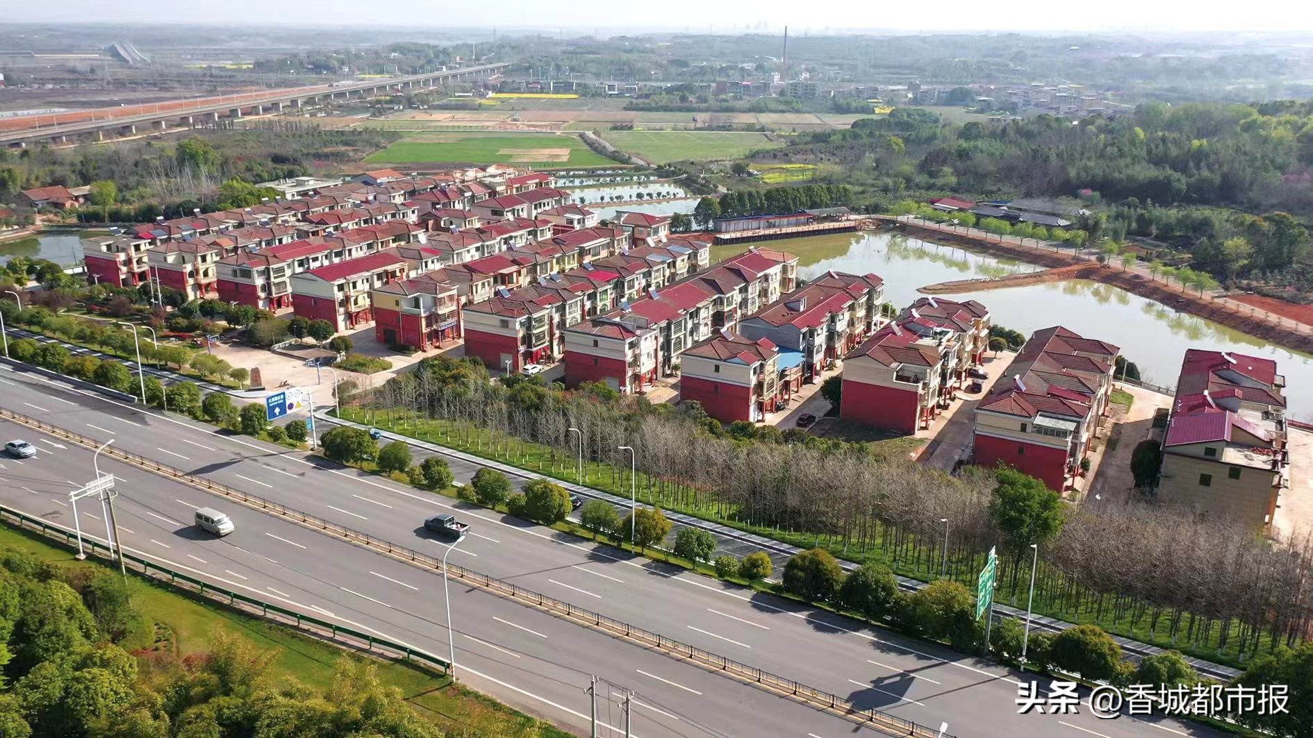 党建引领村湾治理,党建引领乡村治理示范镇