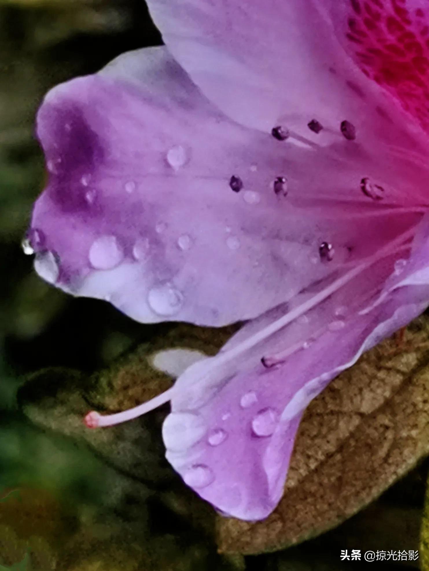 手机拍出清晰照片的20个技巧,手机小技巧怎么样拍出好照片