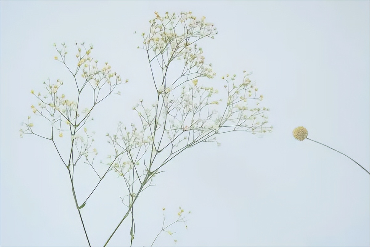 想做自媒体必须要掌握的东西,自媒体新人必须知道的建议