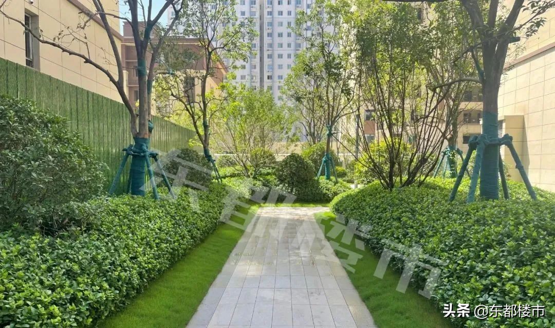 洛阳碧桂园幸福里一期交房时间,碧桂园幸福里房子质量如何