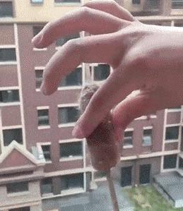 有没有结婚找不到伴娘的尴尬,快结婚了找不到伴娘怎么办啊