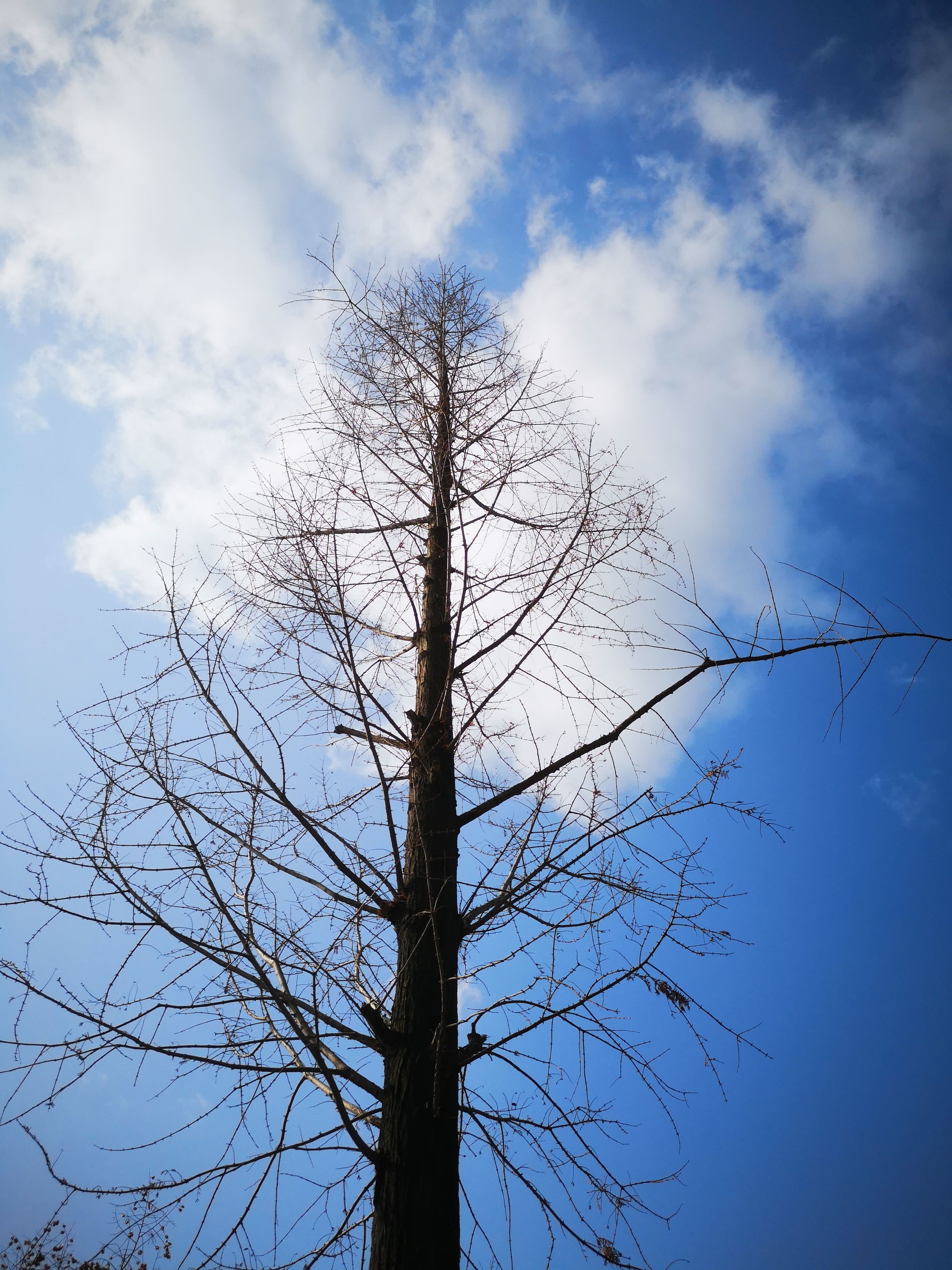 孔明的散文,作家孔明的写人散文