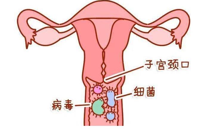 打九价会不会影响经期,打九价会影响来例假吗