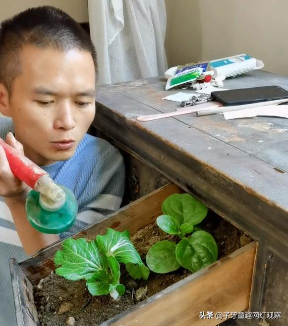 迷茫哥：抽屉里种菜，镜子贴膏药，各种神奇操作笑翻网友
