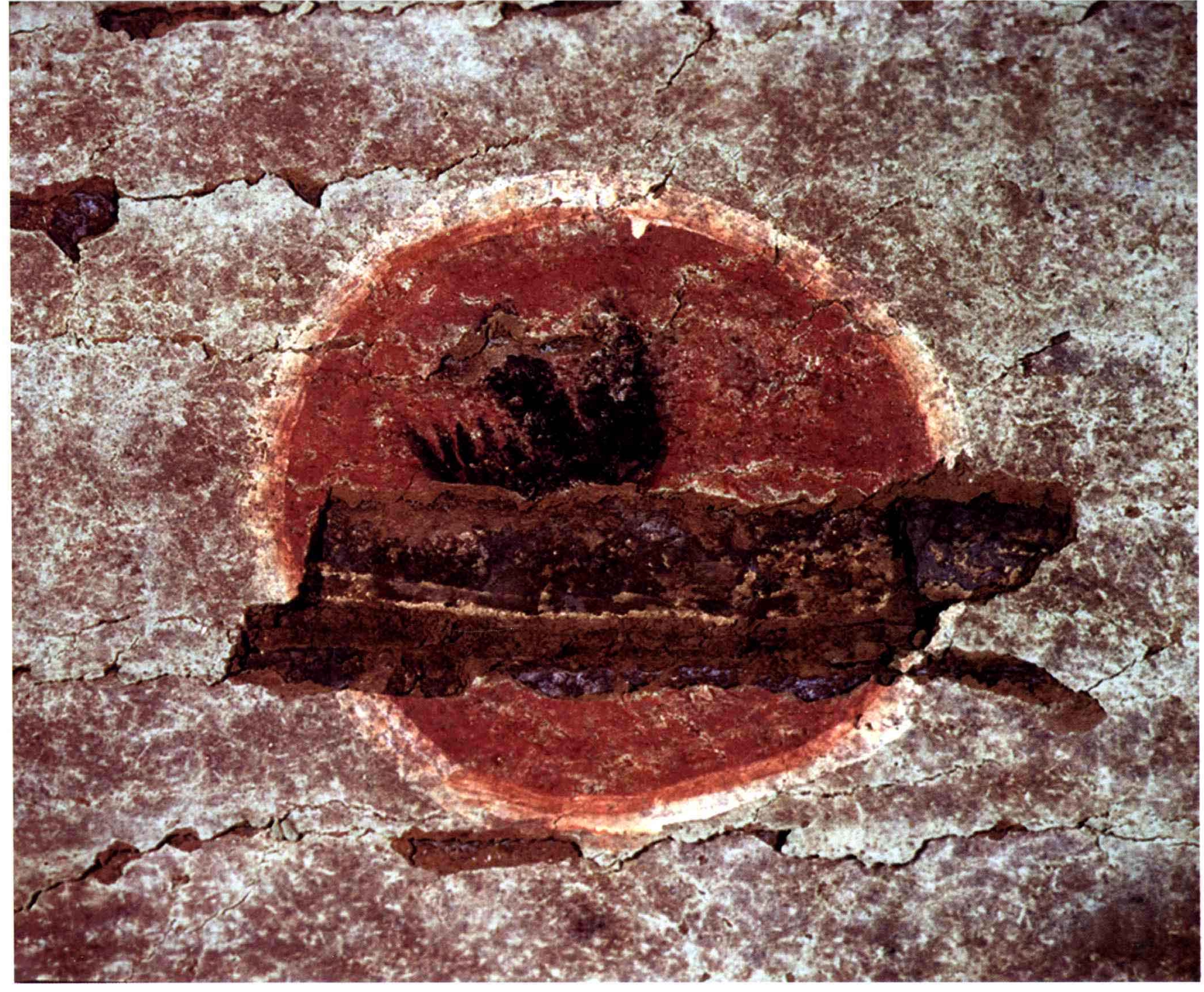 中国出土壁画全集,中国出土壁画全集pdf下载