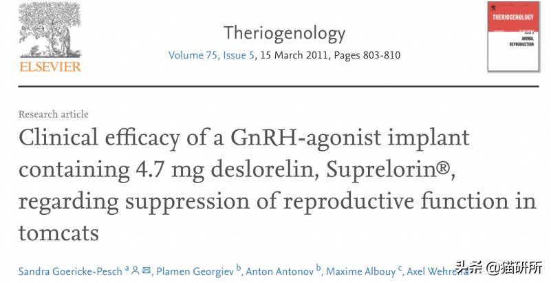 不开刀绝育手术,不打针不手术怎么让母猫绝育