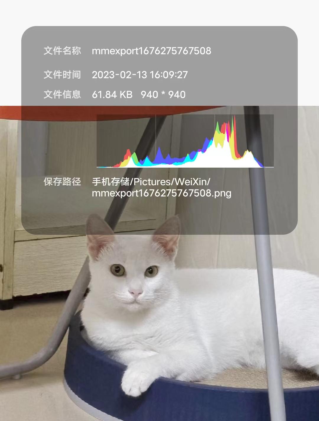 微信头像为啥用久了变浅,微信头像为什么会褪色