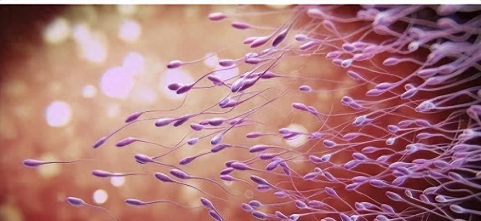 穿越时空的勇士,穿越时空的小战士