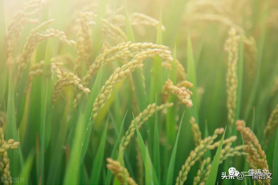 初中生优秀满分作文600字写人,初中作文技巧100条范文