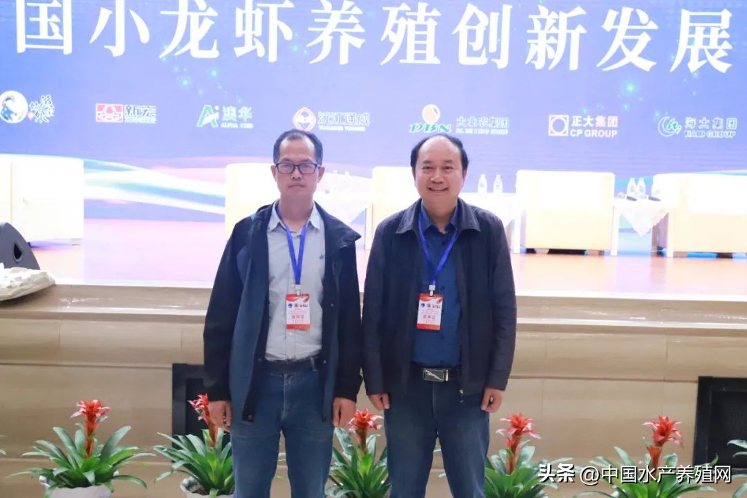 2023年南县小龙虾价格行情,南县小龙虾价格报价