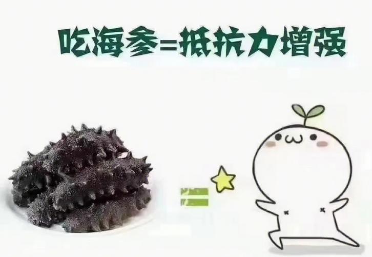 海参到底有营养没,海参最有营养的服用方法