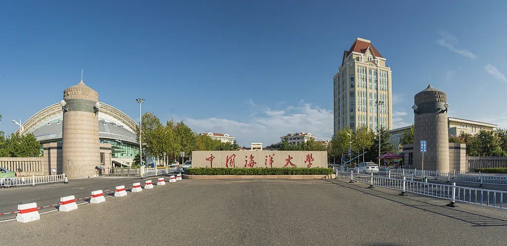 靠养鱼火了的985硕士，居然是《最强大脑》的隐藏黑马？