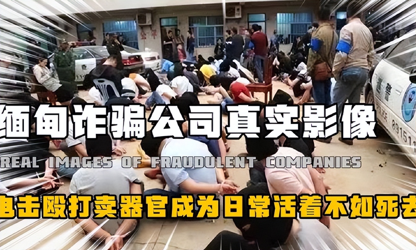 国内女子在缅北驯狗是怎样的,缅北训狗场真的会让人听话吗