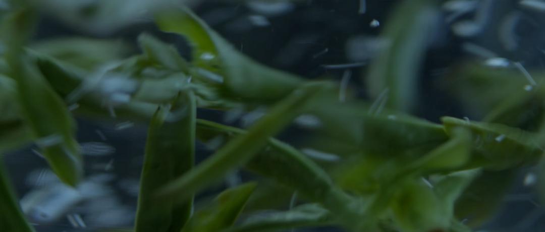 为什么叫乐清这个名字,为什么温州市有乐清市