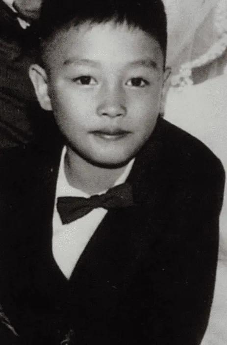 为什么只有张国荣被叫做天皇巨星,张国荣陨落的传奇人生