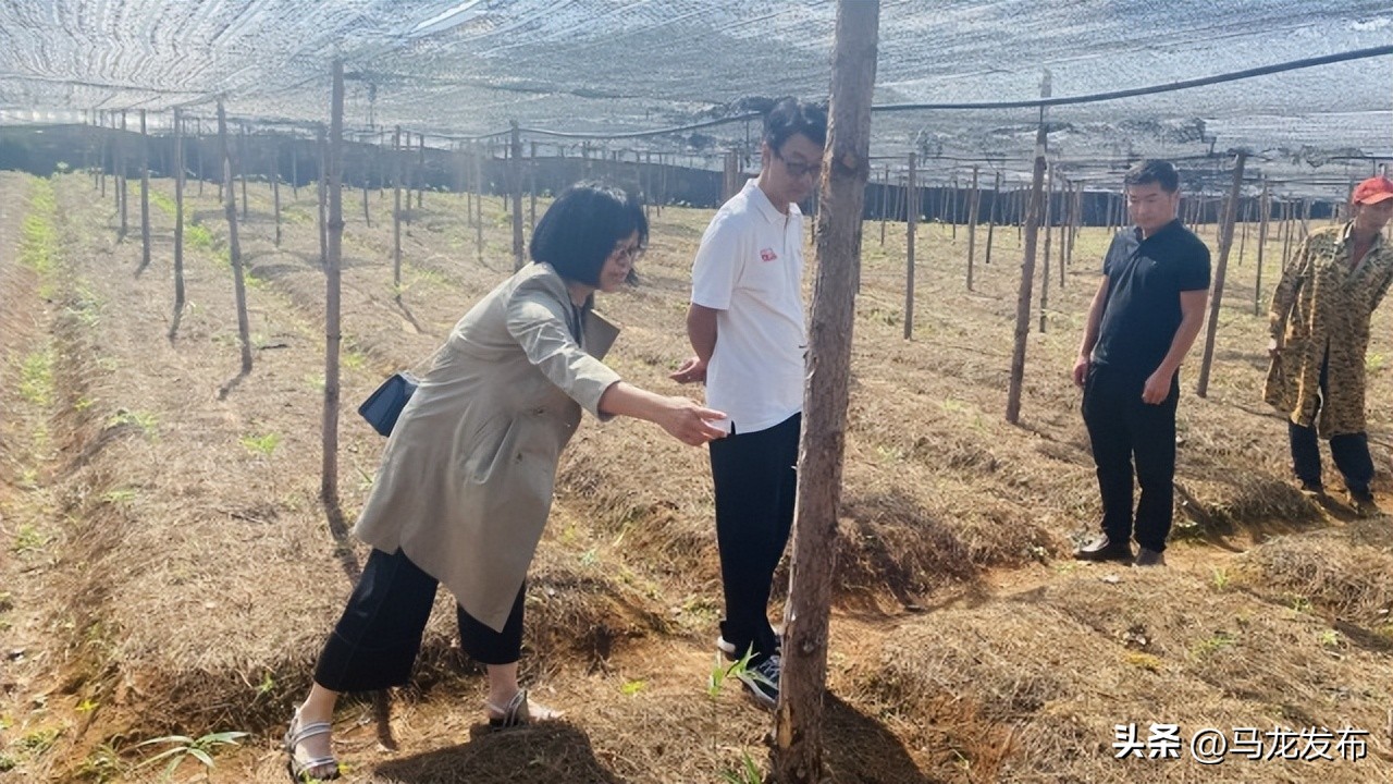 残疾人正能量励志创业,残疾人奋斗励志歌曲