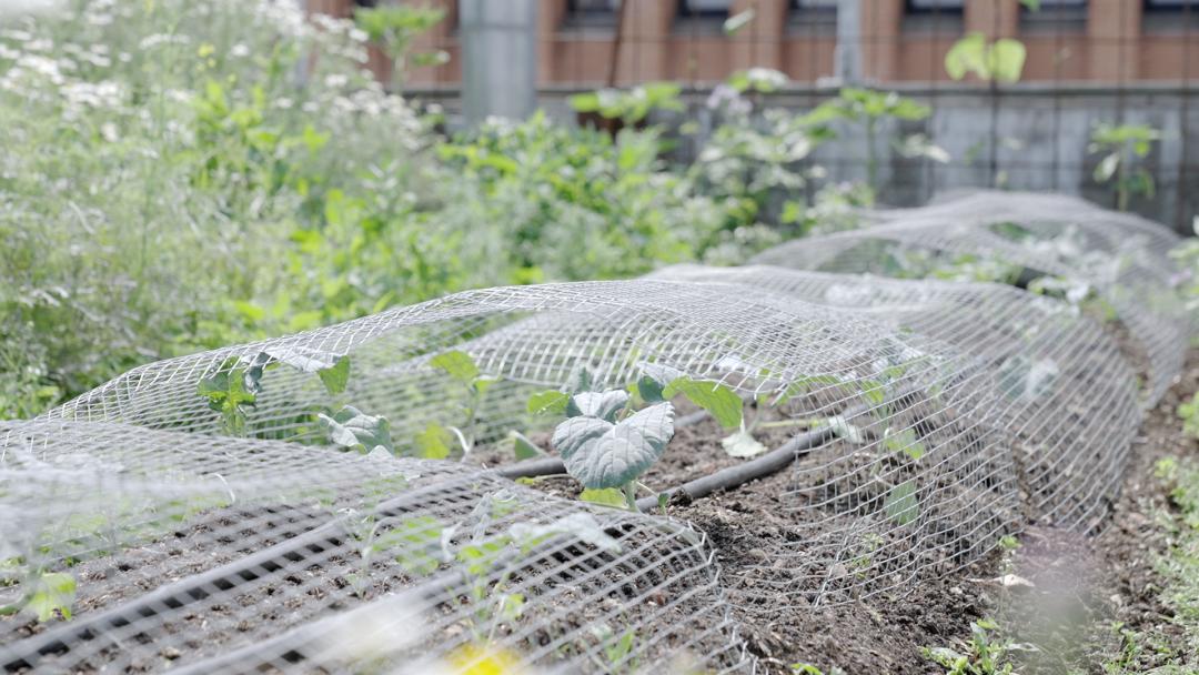 丹麦人生活方式和普通工人工资,丹麦人的生活方式视频
