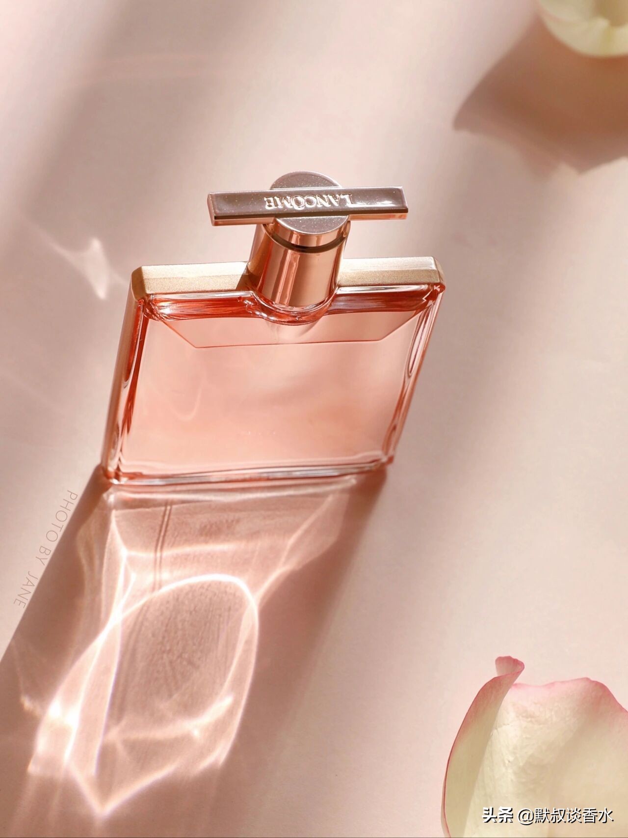 兰蔻偶像是我香水100毫升多少钱,兰蔻香水花果木香小瓶